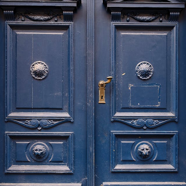double door designs
